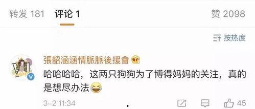 娱乐吃瓜盘点营,揭秘明星幕后故事